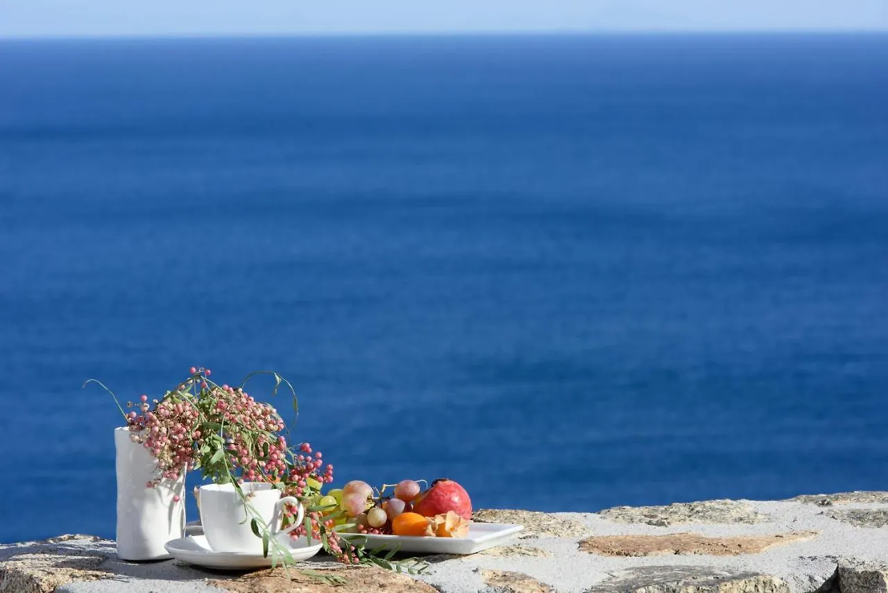 Villa Serenity Mykonos Town 0*,  希腊