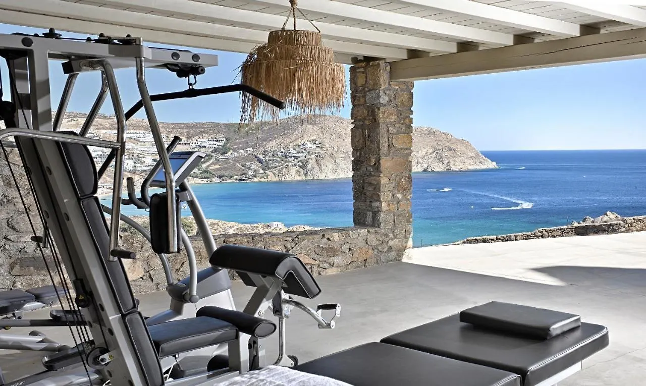 Villa Serenity Mykonos Town