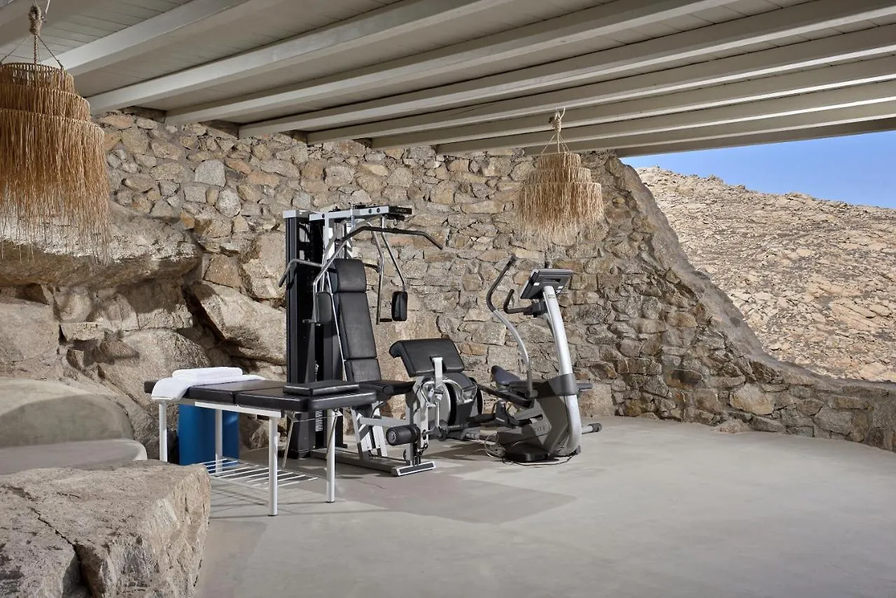 Villa Serenity Mykonos Town 0*,