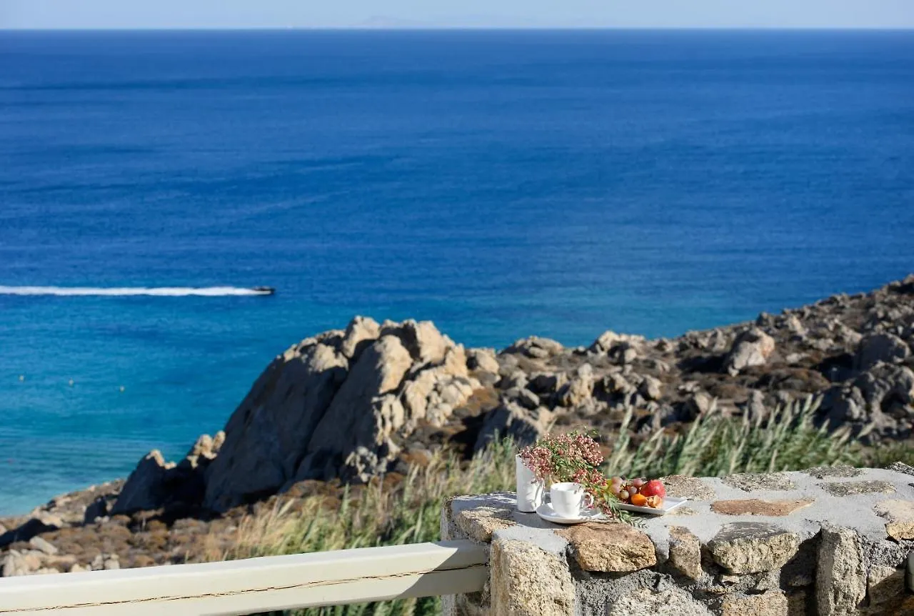 Villa Serenity Mykonos Town 希腊