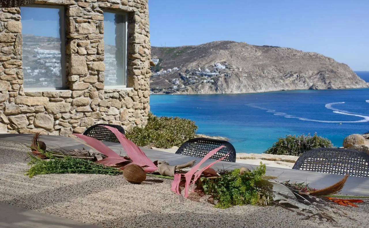 Villa Serenity Mykonos Town 0*,